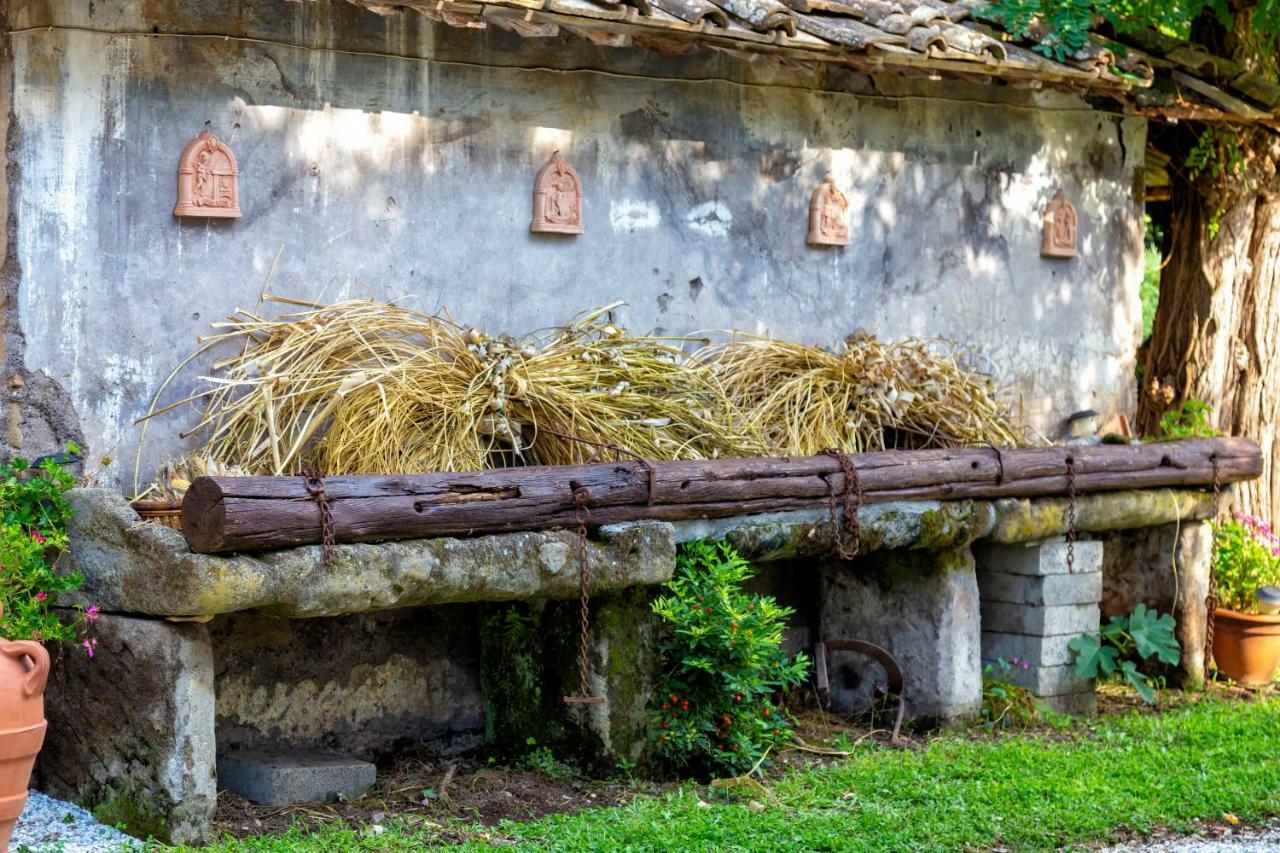 Il Castelletto Del Salamaro Viterbe Extérieur photo