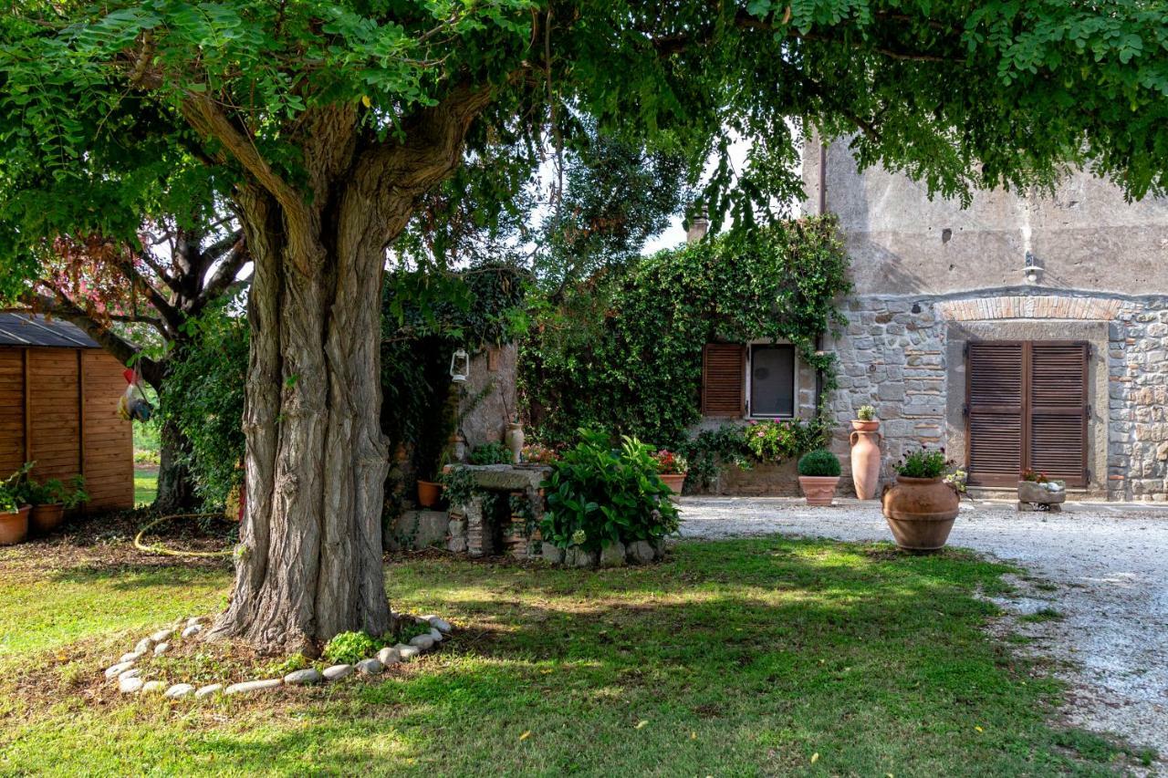 Il Castelletto Del Salamaro Viterbe Extérieur photo